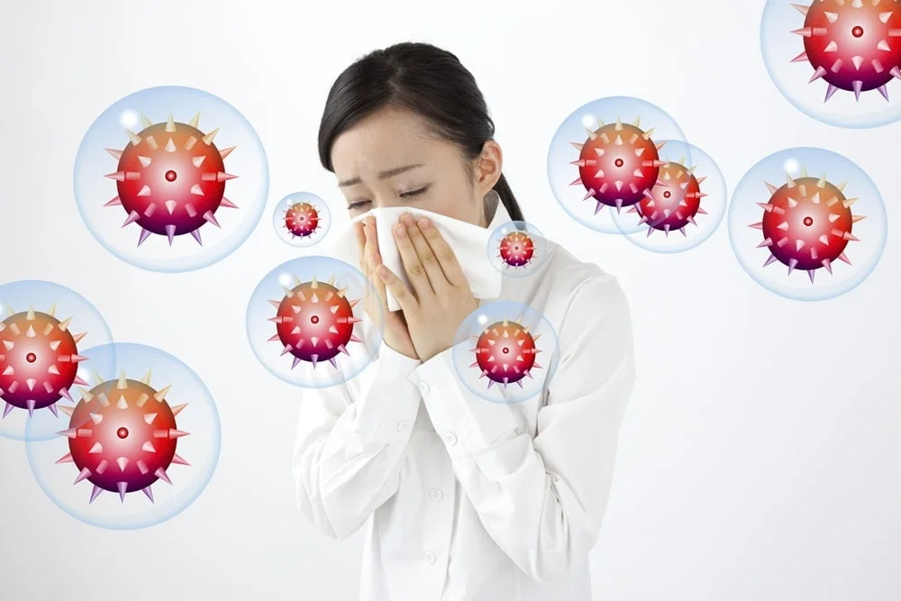 ไข้หวัดใหญ่ (Influenza, Flu)